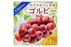 ＜2025年9月上旬より順次発送予定＞ゴルビー　1房(県内共通返礼品:かすみがうら市産) (BR042)