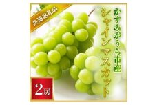 ＜2025年7月より順次発送予定＞シャインマスカット　2房(県内共通返礼品:かすみがうら市産) (BR052)
