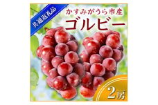 ＜2025年9月上旬より順次発送予定＞ゴルビー　2房(県内共通返礼品:かすみがうら市産) (BR053)