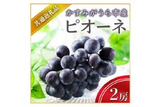 ＜2025年7月より順次発送予定＞ピオーネ　2房(県内共通返礼品:かすみがうら市産) (BR054)