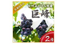 ＜2025年7月より順次発送予定＞巨峰　2房(県内共通返礼品:かすみがうら市産) (BR055)