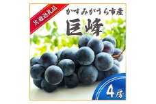 ＜2025年7月より順次発送予定＞巨峰　4房(県内共通返礼品:かすみがうら市産) (BR056)