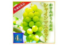 ＜2025年7月より順次発送予定＞シャインマスカット　4房(県内共通返礼品:かすみがうら市産) (BR057)