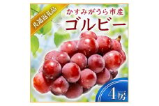 ＜2025年9月上旬より順次発送予定＞ゴルビー　4房(県内共通返礼品:かすみがうら市産) (BR058)