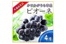 ＜2025年7月より順次発送予定＞ピオーネ　4房(県内共通返礼品:かすみがうら市産) (BR059)