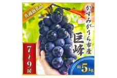 ＜2025年7月より順次発送予定＞巨峰　約5キロ　7～9房(県内共通返礼品:かすみがうら市産) (BR061)