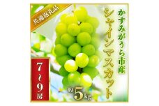 2025年7月より順次発送予定シャインマスカット約5キロ7～9房(県内共通返礼品:かすみがうら市産) (BR062)