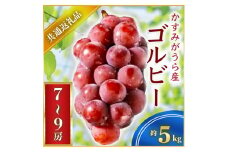 ＜2025年9月上旬より順次発送予定＞ゴルビー　約5キロ7～9房(県内共通返礼品:かすみがうら市産) (BR063)