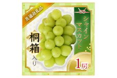 ＜2025年7月より順次発送予定＞シャインマスカット桐箱入り1房(県内共通返礼品:かすみがうら市産) (BR066)