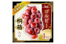 ＜2025年9月より順次発送予定＞ゴルビー　桐箱入り1房(県内共通返礼品:かすみがうら市産) (BR067)