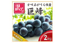 ＜2025年10月より順次発送予定＞訳あり巨峰　2kg (県内共通返礼品:かすみがうら市産) (BR072)
