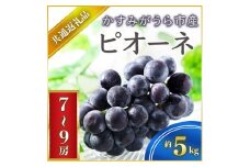 ＜2025年7月より順次発送予定＞ピオーネ　約5キロ　7～9房(県内共通返礼品:かすみがうら市産) (BR070)