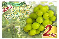 ＜2025年9月より順次発送＞訳ありシャインマスカット2kg(県内共通返礼品:かすみがうら市産) (BR076)