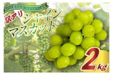 ＜2025年9月より順次発送＞訳ありシャインマスカット2kg(県内共通返礼品:かすみがうら市産) (BR076)
