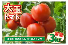 大玉トマト　3kg (県内共通返礼品:つくばみらい市産) (BR086)