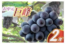 お中元　巨峰　2房(県内共通返礼品:かすみがうら市産 (BR088)