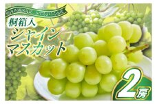 シャインマスカット　桐箱入り2房(県内共通返礼品:かすみがうら市産) (BR089)