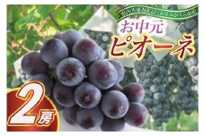 お中元　ピオーネ　2房(県内共通返礼品:かすみがうら市産) (BR090)