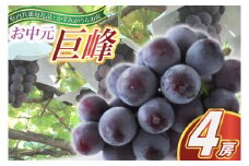 お中元　巨峰4房(県内共通返礼品:かすみがうら市産) (BR091)