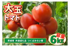 大玉トマト　6kg (県内共通返礼品:つくばみらい市産) (BR094)