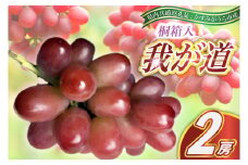 ＜2025年8月より順次発送予定＞我が道　桐箱入り2房(県内共通返礼品:かすみがうら市産) (BR098)