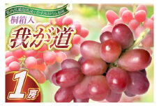 ＜2025年9月より順次発送予定＞我が道　桐箱入り1房(県内共通返礼品:かすみがうら市産) (BR099)