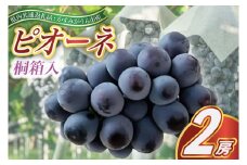 ＜2025年7月より順次発送予定＞ピオーネ　桐箱入り2房(県内共通返礼品:かすみがうら市産) (BR101)