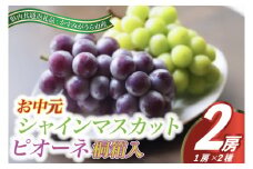 8月より順次発送 お中元シャインマスカットとピオーネ桐箱入り2房(県内共通返礼品:かすみがうら市産) (BR103)