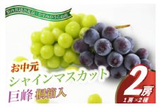 8月より順次発送予定 お中元シャインマスカットと巨峰桐箱入り2房(県内共通返礼品:かすみがうら市産) (BR104)