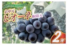 ＜2025年8月より順次発送予定＞お中元　ピオーネ桐箱入り2房 (県内共通返礼品:かすみがうら市産) (BR105)