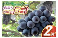 ＜2025年8月より順次発送予定＞お中元　巨峰桐箱入り2房 (県内共通返礼品:かすみがうら市産) (BR108)