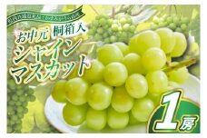 ＜8月より順次発送予定＞お中元シャインマスカット桐箱入り1房(県内共通返礼品:かすみがうら市産) (BR109)