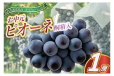 ＜2025年8月より順次発送予定＞お中元　ピオーネ　桐箱入り1房(県内共通返礼品:かすみがうら市産) (BR110)