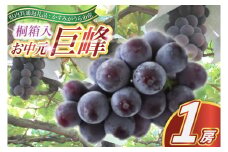 ＜2025年8月より順次発送予定＞お中元　巨峰　桐箱入り1房(県内共通返礼品:かすみがうら市産) (BR111)