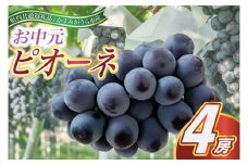 ＜2025年8月より順次発送予定＞お中元　ピオーネ　4房(県内共通返礼品:かすみがうら市産) (BR112)