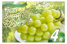 ＜2025年8月より順次発送予定＞お中元　シャインマスカット4房(県内共通返礼品:かすみがうら市産) (BR113)
