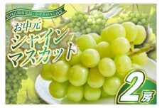 ＜2025年8月より順次発送予定＞お中元　シャインマスカット2房(県内共通返礼品:かすみがうら市産) (BR114)