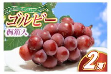 ＜2025年9月より順次発送予定＞ゴルビー　桐箱入り2房(県内共通返礼品:かすみがうら市産) (BR115)