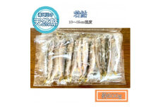 那珂川の天然鮎　10~15cm程度　若鮎　小サイズ　500g (BG022)