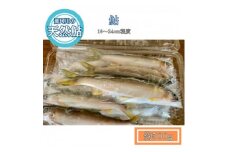 那珂川の天然鮎　16～24cm程度　中サイズ　500g (BG023)