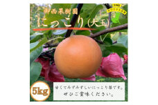 ＜農家直送＞梨 にっこり 大玉サイズ6～8個　(約5kg) (BB001)
