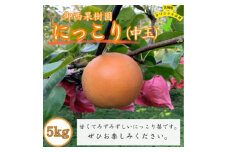 ＜農家直送＞梨 にっこり 中玉サイズ9～12個(約5kg) (BB002)