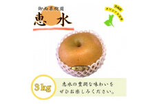 ＜農家直送＞梨 茨城県オリジナルブランド品種 恵水 大玉サイズ4～6個(約3kg) (BB004)