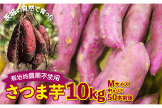 さつまいも　紅はるか　栽培期間中農薬不使用栽培　10kg (BJ013)