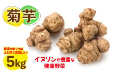 ＼先行予約／ 菊芋(きくいも) 健康野菜 5kg (BJ016)