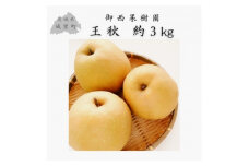 ＜農家直送＞梨 王秋 4～6個(約3kg) (BB005)