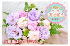 季節の寄せ植え＜花わたひき＞ (BY002)