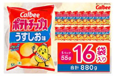 ポテトチップス カルビー 「うすしお味」16袋（55g×16袋）1ケース 総計880g【ポテチ Calbee うすしお セット 菓子 ポテト チップス スナック おやつ しお じゃがいも ジャガイモ お取り寄せ まとめ買い 詰め合わせ 詰合せ 人気 送料無料】  (BG026)