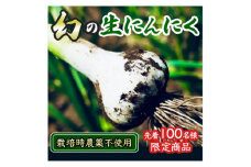 ＼期間限定／採りたて 生にんにく 1.2kg (BJ018)
