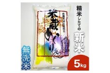 ＼新米 先行予約／ 米 5kg 無洗米 こしひかり 【令和7年産】 お米 白米 コシヒカリ 無洗米5kg 茨城県 城里町【配送不可地域：離島】 (BJ026)